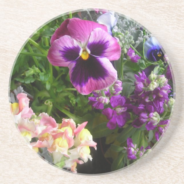Porta-copos Pansy n' amigos (Frente)
