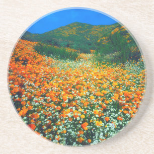 Porta-copos Papoulas da Califórnia e flores silvestres de pipo