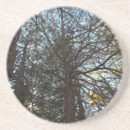 Porta-copos Para cima através das filiais