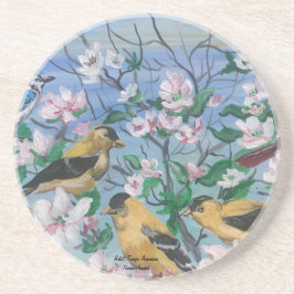 Porta-copos Pássaros Nova Coleção Arte Pintada Original