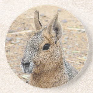 PORTA-COPOS PATAGONIAN MARA