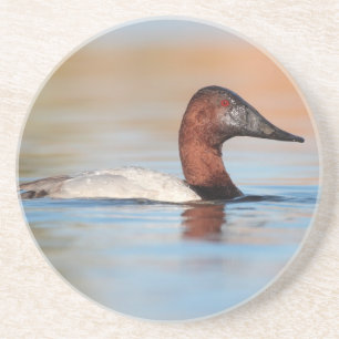Porta-copos Pato de Canvasback masculino