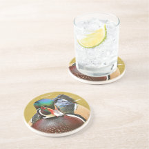 Pato de madeira espantosa no pinto