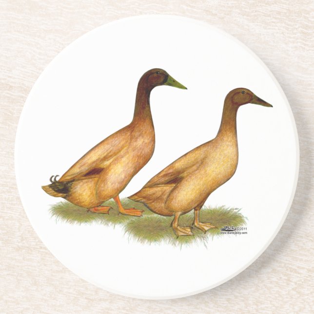 Porta-copos Patos: Khaki Campbell (Frente)