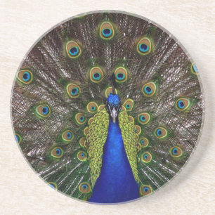 Porta-copos Peacock