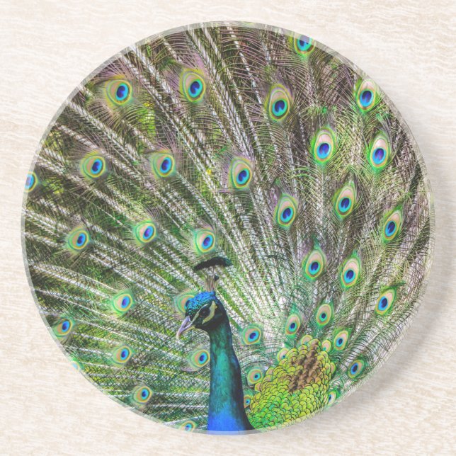Porta-copos Peacock (Frente)