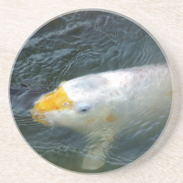 Porta-copos Peixe Goldfish No Lago (Frente)