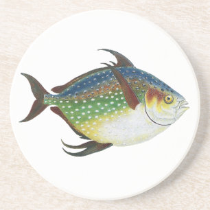 Porta-copos Peixe Opah Tropical, Animal Aquático Marinho Vinta