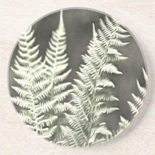Porta-copos Pena Fantasia Como Fern