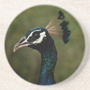 Porta-copos Perfil de Peacock