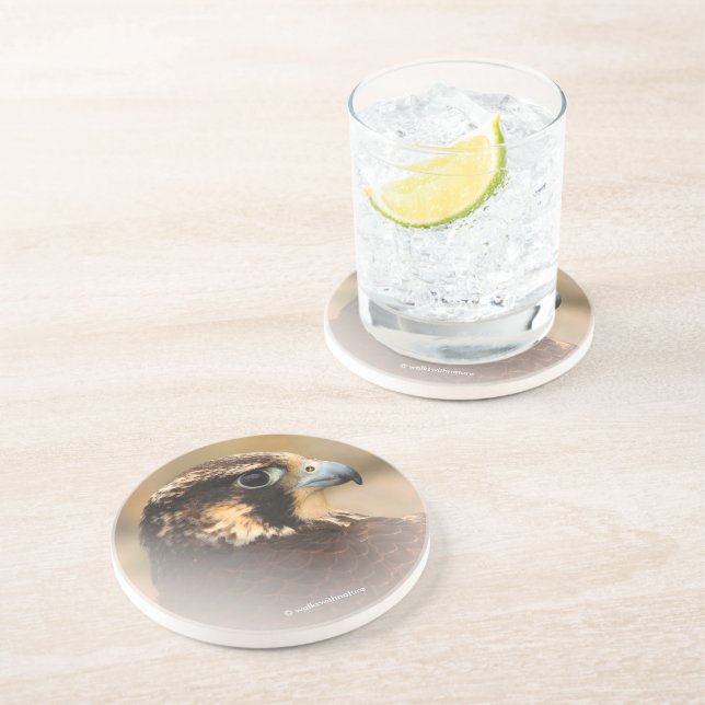 Porta-copos Perfil Vignetado de um Falcão Peregrino (Lateral)