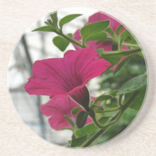 Porta-copos Petunia