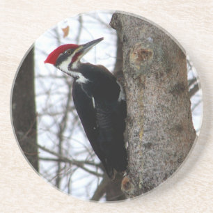 Porta-copos Pica-pau de Pileated