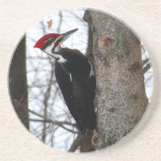 Porta-copos Pica-pau de Pileated