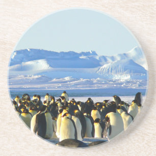 Porta-copos Pinguins imperadores