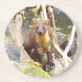 Porta-copos Pinheiro-da-índia-corda-serra-do-campo