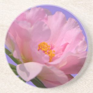 Porta-copos Pink Peony Sandstone Coaster