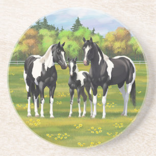 Porta-copos Pinto Negro Pinto Quarto Cavalos Na Pastagem De Ve