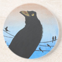 Pintura de pássaro selvagem Grackle Austin Texas A