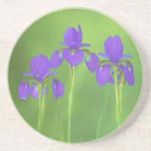 Porta-copos Pintura em Íris Roxa - Arte em Flor Original
