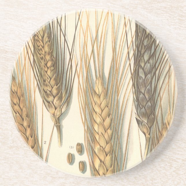 Porta-copos Planta De Trigo Resistente À Seca, Agricultura De  (Frente)
