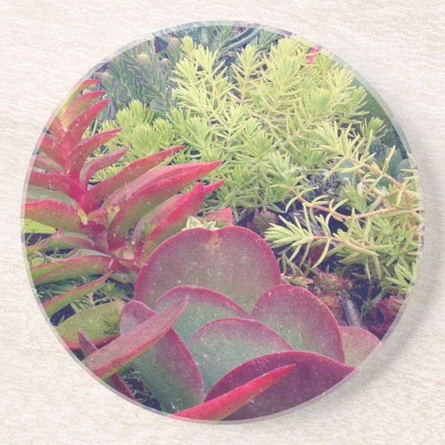 Porta-copos Plantas Suculentas (Frente)