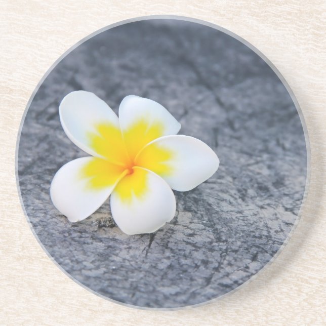 Porta-copos Plumeria (Frente)