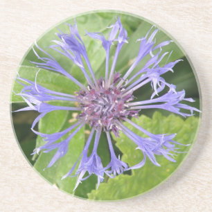 Porta-copos Portas copos de Cornflower azuis