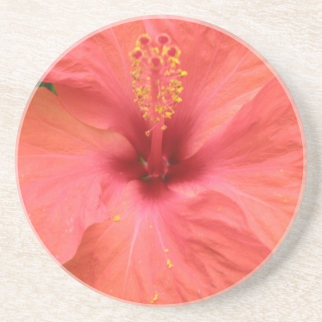 Porta-copos Portas copos de Macro de Flor Laranja Hibiscus (Frente)