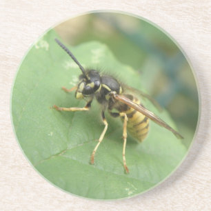 Porta-copos Portas copos de Macro de Hoverfly