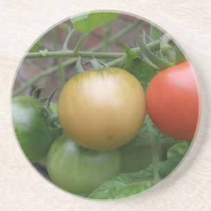 Porta-copos Portas copos de tomate semáforo