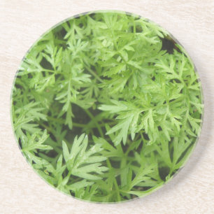 Porta-copos Portas copos do Carrot Tops