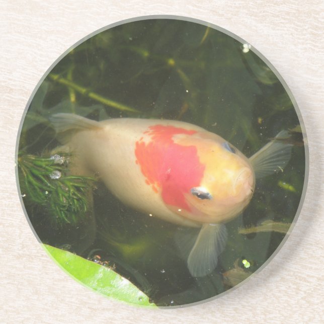 Porta-copos Portas copos Goldfish (Frente)