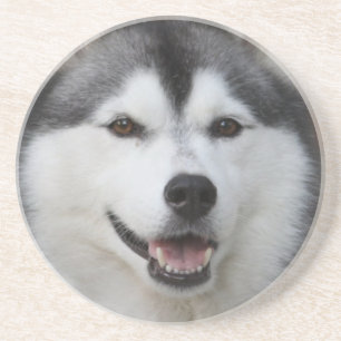 Porta-copos Portas copos roncas do cão