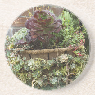 Porta-copos Portas copos Sucultas