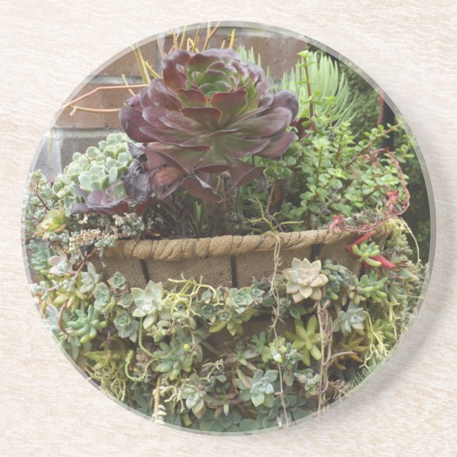 Porta-copos Portas copos Sucultas (Frente)