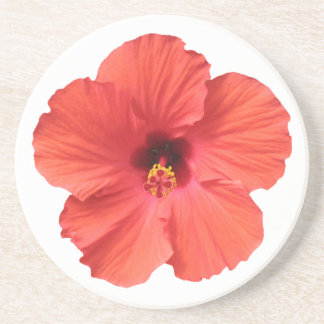 Porta-copos Portas copos vermelhas do hibiscus