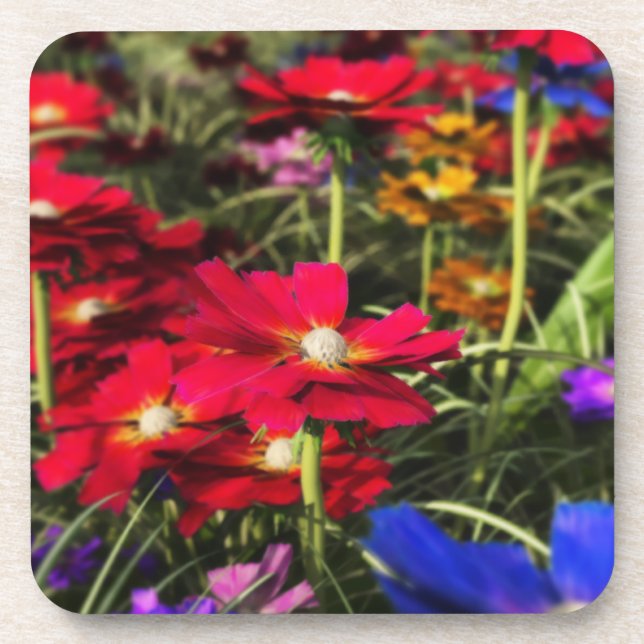 Porta copos Primavera de rolha iridescente (Frente)