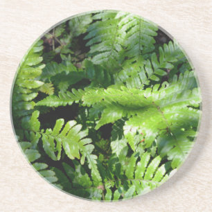 Porta-copos Primavera Green Ferns boho botânico