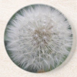 Porta-copos Propagando Portas copos Dandelion