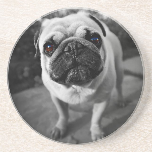 Porta-copos Pug bonito (Frente)