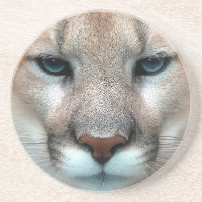 PORTA-COPOS PUMA LINDO (Frente)