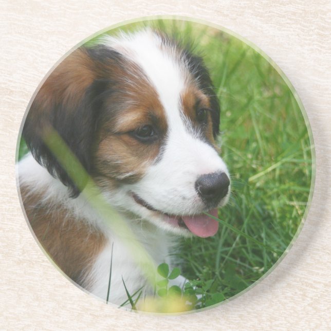 Porta-copos Puppy (Frente)