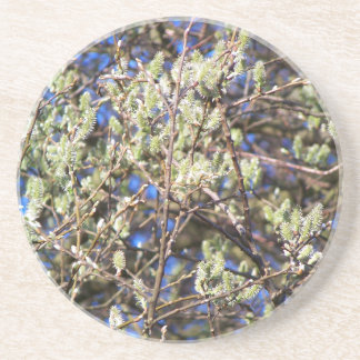 PORTA-COPOS PUSSY WILLOW