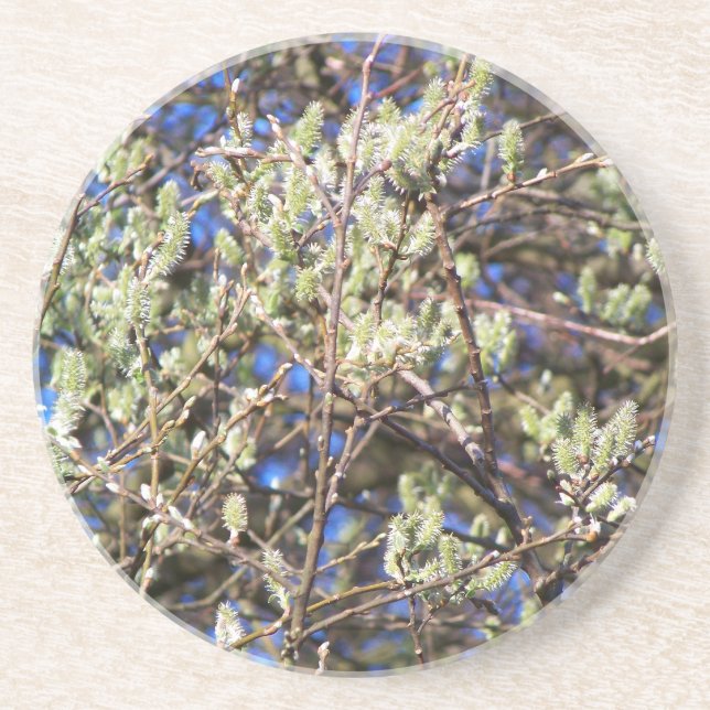 PORTA-COPOS PUSSY WILLOW (Frente)