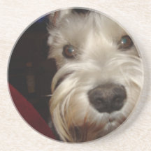 Que VOCÊ está olhando?