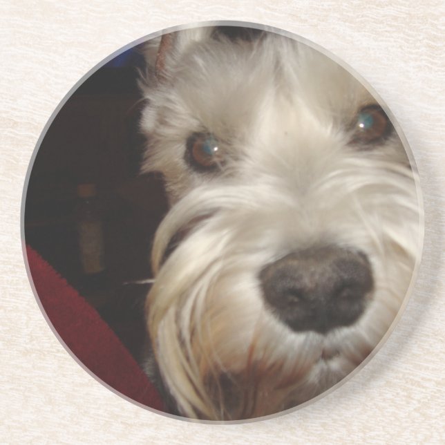 Porta-copos Que VOCÊ está olhando? (Frente)