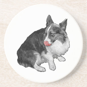 Porta-copos Quebra de Cacau, Sugestão