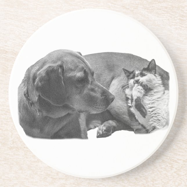 Porta-copos Quebra de Sip com Parceiros (Frente)