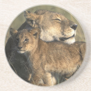 Porta-copos Quênia, Reserva de Caça Masai Mara, Leoa